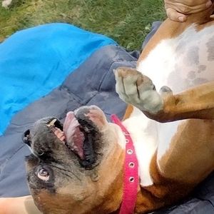 Meet your Posher, Esther